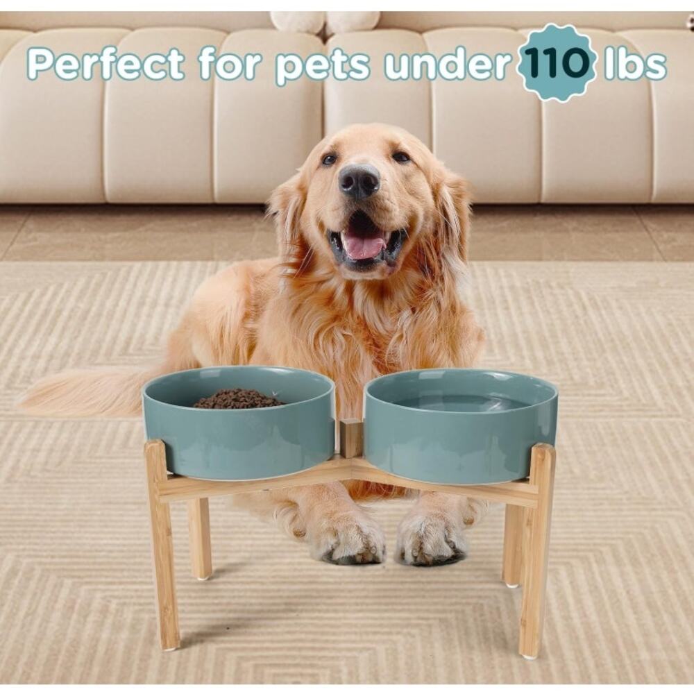Elevated Ceramic Dog Bowls 60oz Bamboo Stand Dark Green Open Box